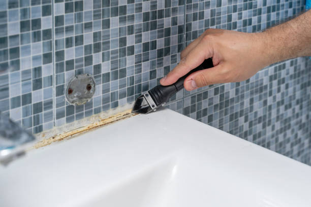 Best Mold Cleaning Services  in Centennial Park, AZ