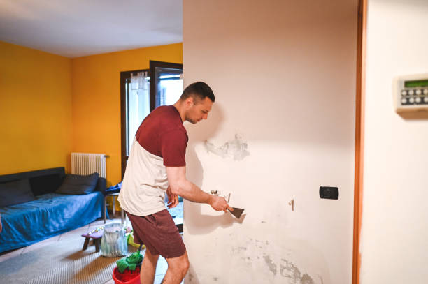 Professional Mold Removal in Centennial Park, AZ